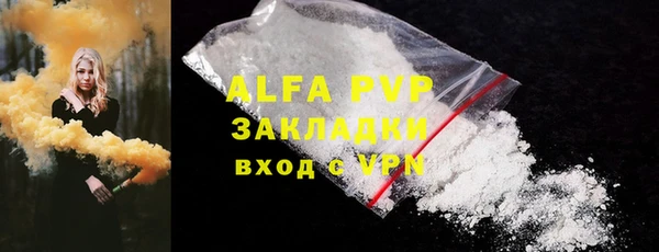 стафф Алзамай