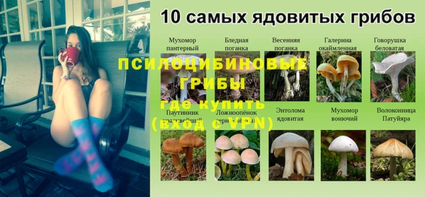 стафф Алексин