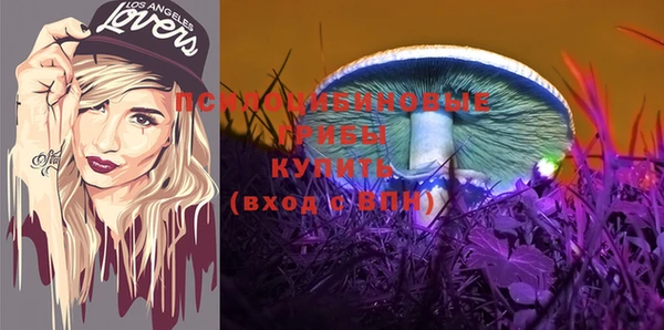 стафф Алзамай