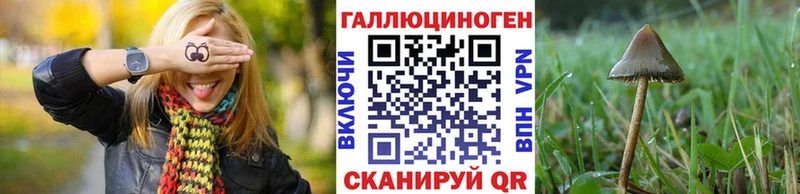 Галлюциногенные грибы Cubensis  площадка клад  Коркино 