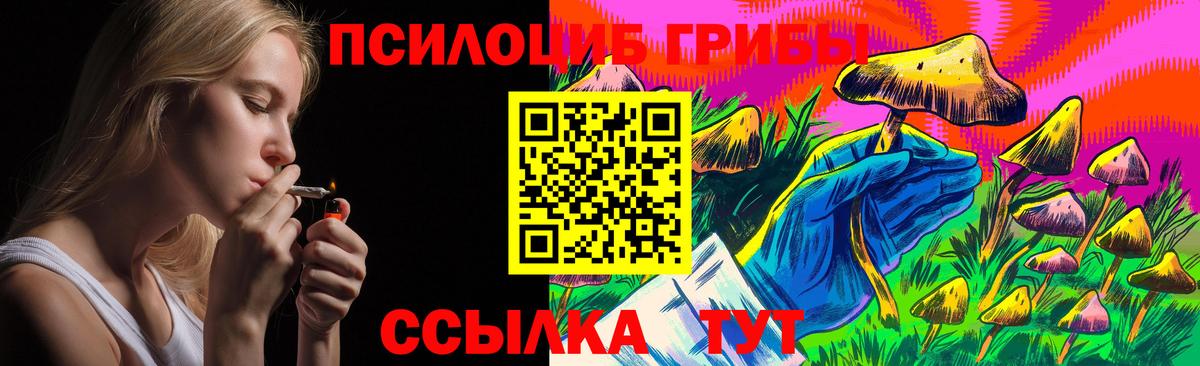 Псилоцибиновые грибы мухоморы Коркино